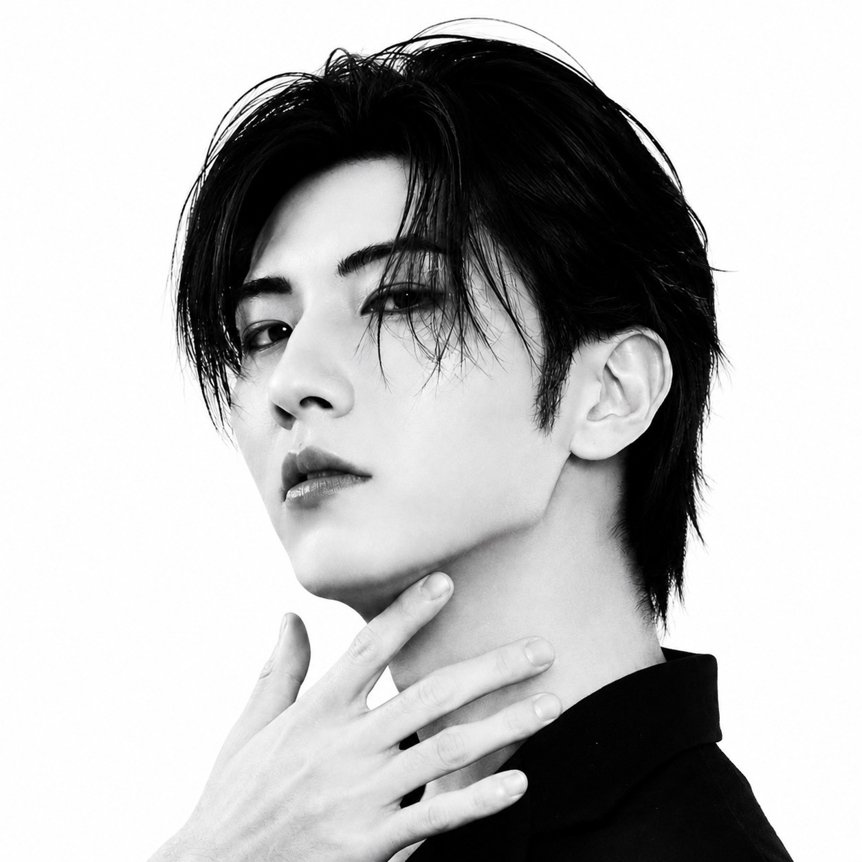 代表取締役 山口 真之介